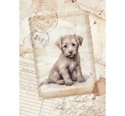 Motiv-Strohseiden Sortiment