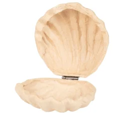 Muschelbox, Pappmaché