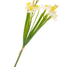 Narzissen-Bund "Yellow / White"