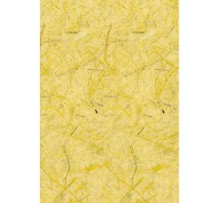 Naturpapiere "Daisy"