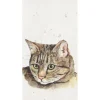 Papiertaschentücher "Cat"