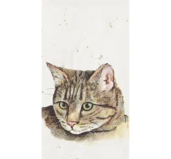 Papiertaschentücher "Cat"