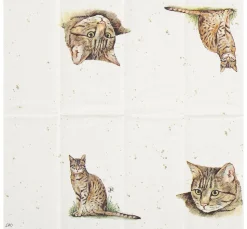 Papiertaschentücher "Cat"