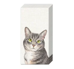 Papiertaschentücher "Cat"