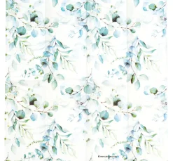 Papiertaschentücher "Eucalyptus all over"