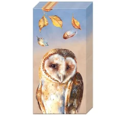 Papiertaschentücher "Eule Evie"