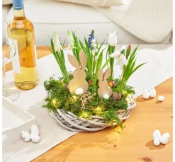 Perlhyazinthen Mix mit Zwiebel