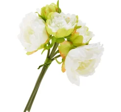 Pfingstrosen-Bund mit 5 Blüten