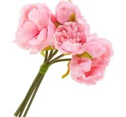 Pfingstrosen-Bund mit 5 Blüten