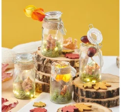 Physalis Zweig, 6 Lampionblüten