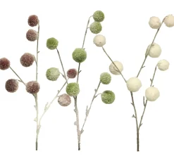 Pompon-Zweig, beschneit