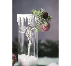 Pompon-Zweig, beschneit