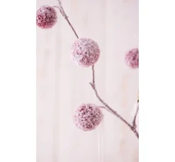 Pompon-Zweig, beschneit