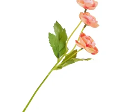 Ranunkel-Pick mit 3 Blüten