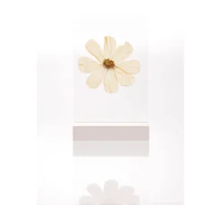 Rico Design Holzaufsteller mit doppelter Acrylscheibe, 13 x 18 cm