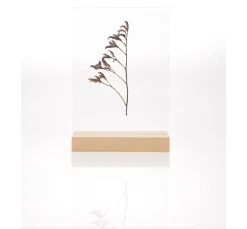 Rico Design Holzaufsteller mit doppelter Acrylscheibe, 13 x 18 cm