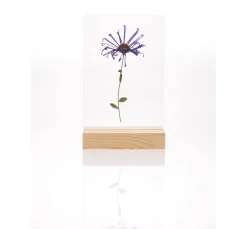 Rico Design Holzaufsteller mit doppelter Acrylscheibe, 10 x 15 cm