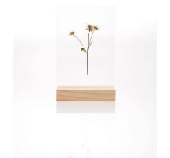 Rico Design Holzaufsteller mit doppelter Acrylscheibe, 10 x 15 cm