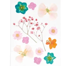 Rico Design Mix Set gepresste Blüten "Orange Türkis"