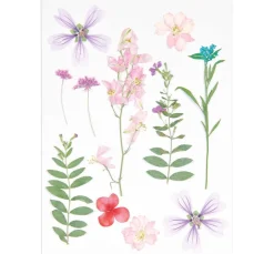 Rico Design Mix Set gepresste Blüten "Rosa Violett"