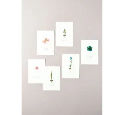 Rico Design Mix Set gepresste Blüten 