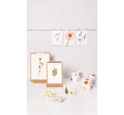 Rico Design Mix Set gepresste Blüten 