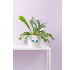 Rico Design Ricorumi 