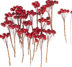 Rote Beeren Picks, glänzend