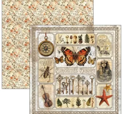 Scrapbook-Papier "Cabinet of Curiosities"