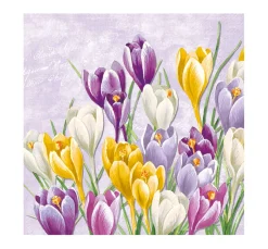 Serviette "Blühender Krokus"