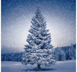 Serviette "Magic Tree"