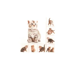 Serviette "Miezekatzen"