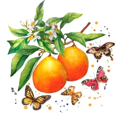 Serviette "Schmetterlinge & Orangen"