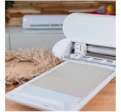 Silhouette Portrait 4