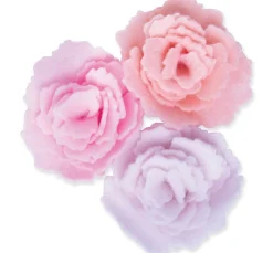 Sizzix Bigz Stanzschablone "Cabbage Rose"