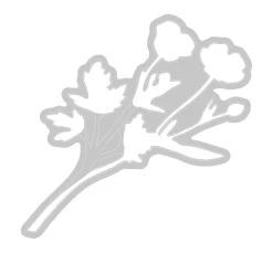 Sizzix Framelits Stanzschablone und Clear Stamps "Painted Pencil Botanical"