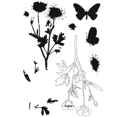 Sizzix Framelits Stanzschablone und Clear Stamps 