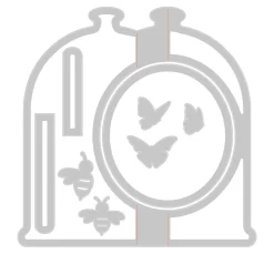 Sizzix Thinlits Stanzschablone "Card, Bell Jar"
