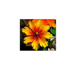 Stanzschablonen-Faltblume "Cosmea"