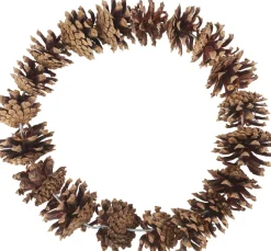 Tannenzapfen-Kranz