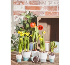 Terrakotta-Rosentöpfe, 3 Stck