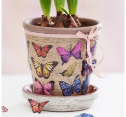 Terrakotta-Rosentöpfe, 3 Stck