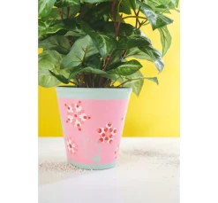 Terrakotta-Rosentöpfe, 3 Stck