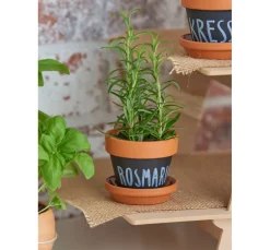 Terrakotta-Unterteller