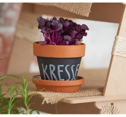 Terrakotta-Unterteller