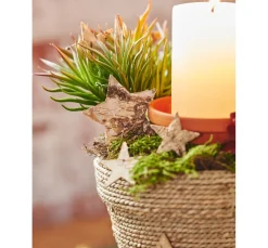 Terrakotta-Unterteller