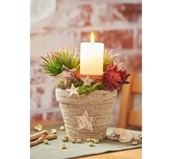 Terrakotta-Unterteller