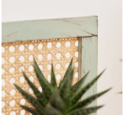 Terrakotta-Unterteller