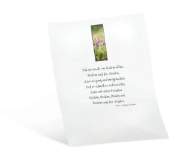 Transparentpapier, 10 Blatt