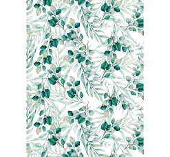 Transparentpapier "Eukalyptus"